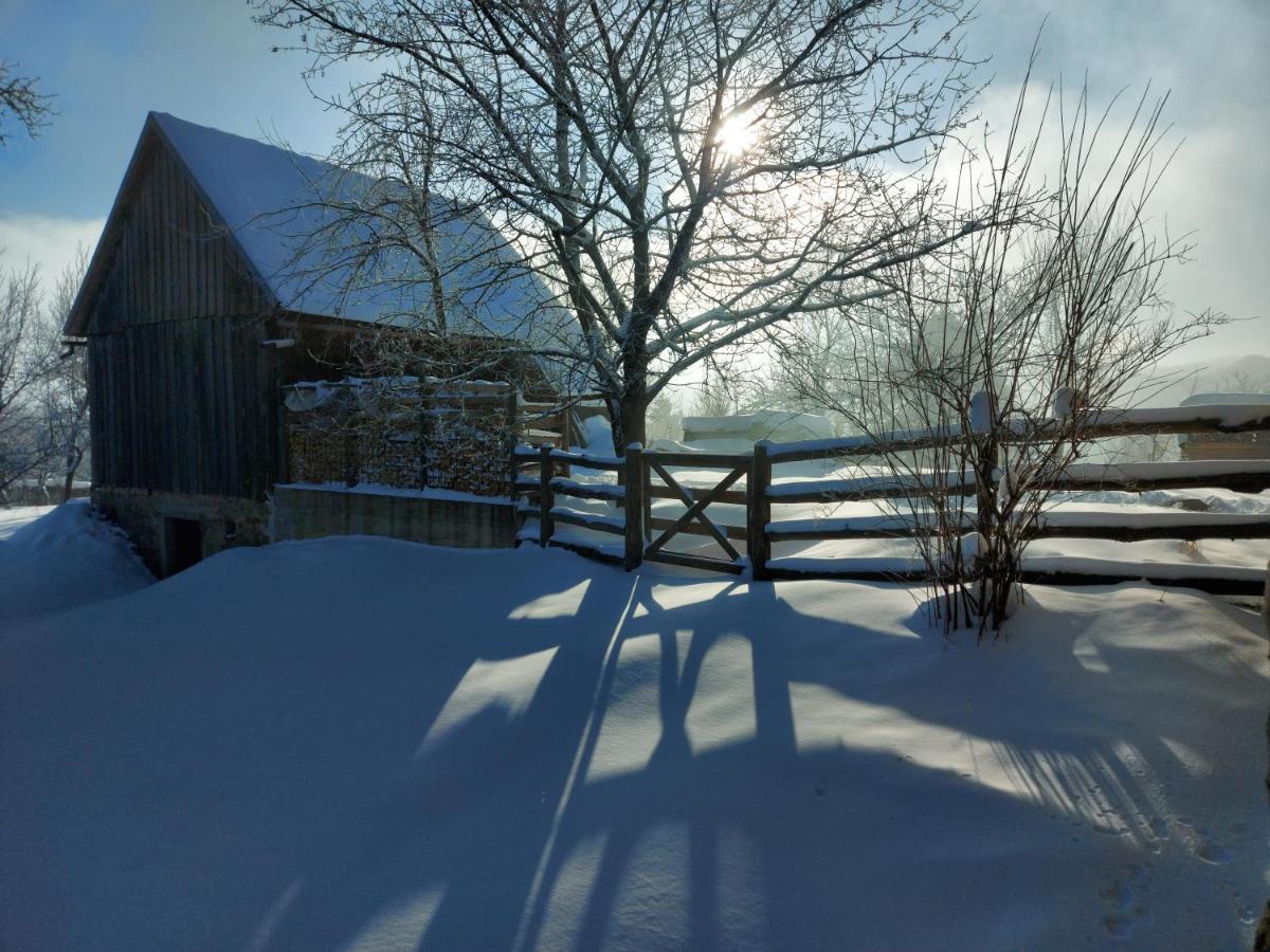 Holiday Home "Sleme" With Jacuzzi, Big Garden And Arbor With Fireplace Skrad Екстер'єр фото