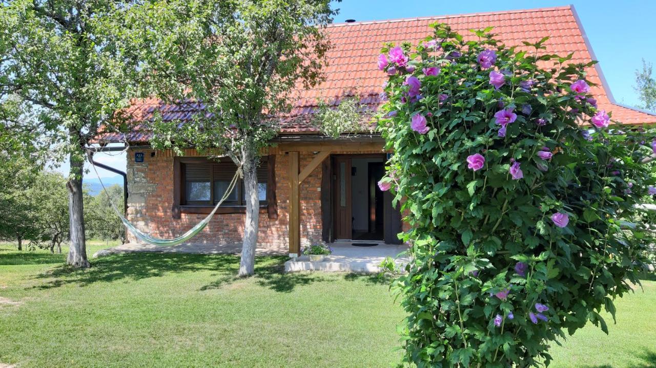 Holiday Home "Sleme" With Jacuzzi, Big Garden And Arbor With Fireplace Skrad Екстер'єр фото